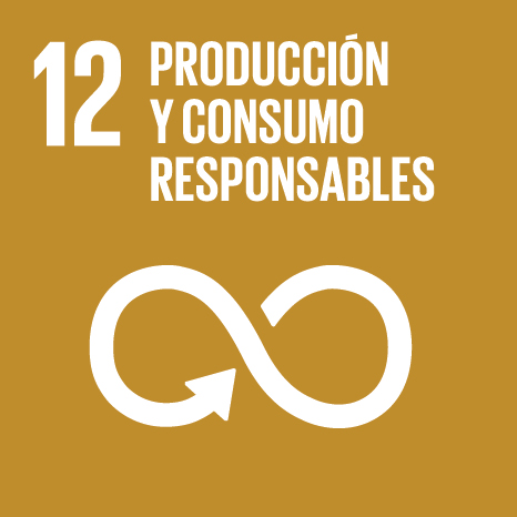 12. Producción y consumo responsables